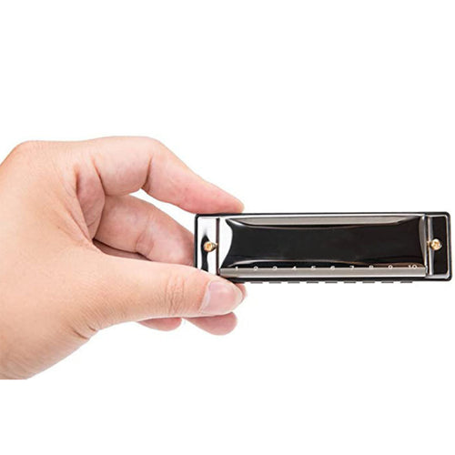 10 Hole Diatonic Blues Harmonica main image