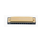 10 Hole Diatonic Blues Harmonica view 3